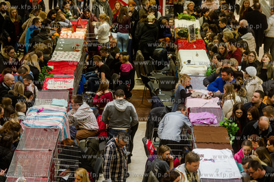 Gdansk. Wrzeszcz. Dzien Kota w CH Galeria Baltycka.
21.02.2016
fot....