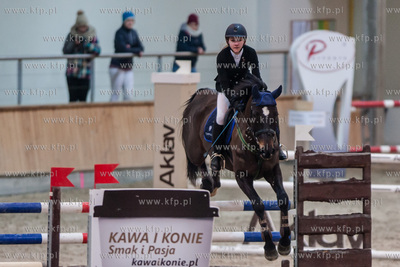 Hipodrom Sopot. Hala Pomarańczowa. Halowe Zawody w...