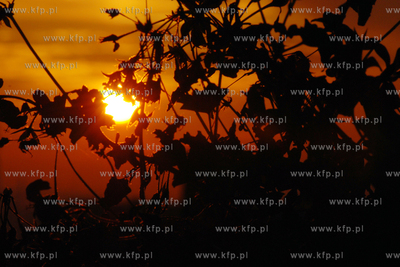 Wschod slanca w Rumi10.10.2006Fot. Andrzej J. Gojke/KFP