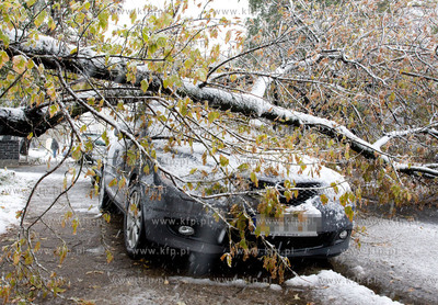 Nagly atak zimy w Warszawie.  Nz powalone drzewa na...