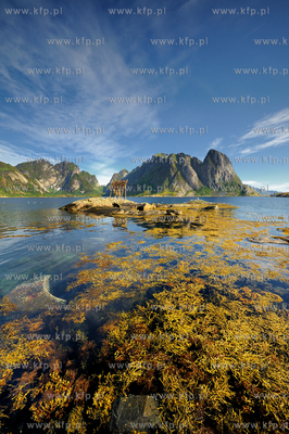 Norwegia , Lofoty, Sakrisoy, polnocna czesc kraju,...