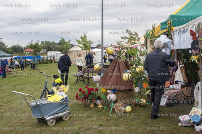 Swieto Miodu Pszczolkowskiego w Parku Lipowym w Pszczolkach...