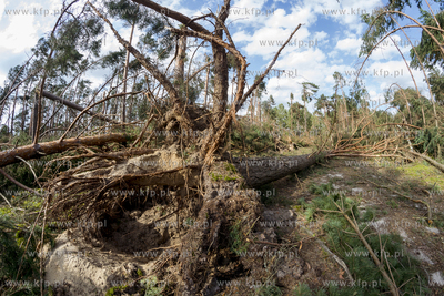 Skutki nawałnicy, która z piątku na sobotę przeszła...