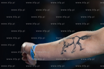 Gdańsk Tattoo Konwent 2019 w Amber Expo. Konkurs na...