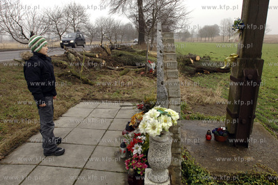 W Gdansku - Kokoszkach scieto drzewo na ktorym 2maja94...