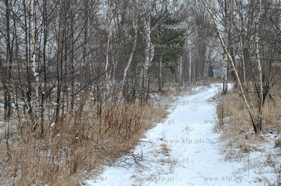 Gdansk Nowy Port. Tereny Szanca Zachodniego pomiedzy...