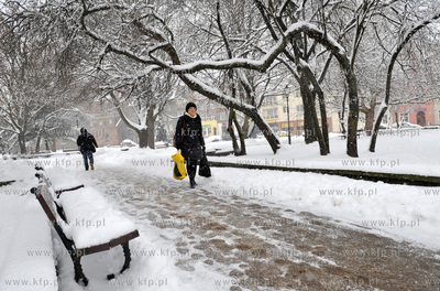 Gdansk zima. Park Swietopelka na ul. Szerokiej. 21.01.2016...