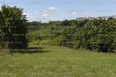 Panorama Gdańska Oruni, widok na Orunie Górną z...