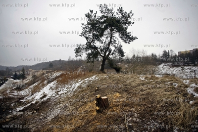 Gdansk. Wycinka drzew na trasie budowanej Kolei Metropolitalnej...