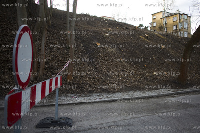 Wycinka drzew na skarpie przy ul. Sienkiewicza w Gdyni....