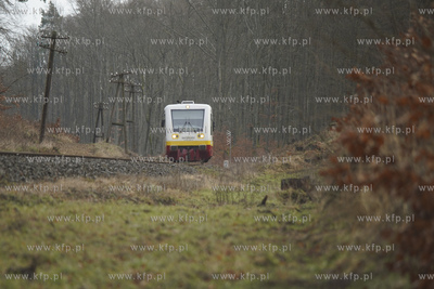 Szynobus w okolicy Kościerzyny. 29.02.2020 fot. Paweł...