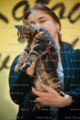 Gdansk. Galeria Baltycka. Obchody swiatowego dnia kota....