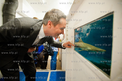 Akwarium Gdynskie. Gala wreczenia nagrod w konkursie...