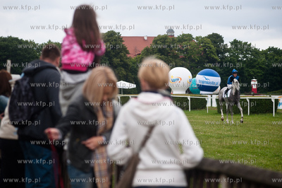 Wyscigi konne na sopockim hipodromie.
13.07.2013
fot....