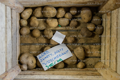 Gdansk. Hala postoczniowa przy ul. Doki 1. BioBazar...