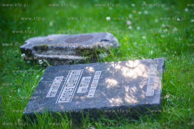 Gdańsk. Lapidarium w parku Akademickim. 17.07.2017...