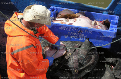 Port w Rowach. Nz rybacy sprzedaja ryby wprost z kutra.
02.05.2009
Fot....