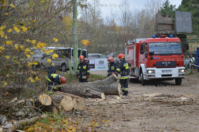 Strazacy usuwaja przewrucone przez wichure drzewo w...