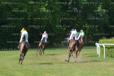 Wyscigi konne na sopockim Hipodromie. 17.07.2016 fot....