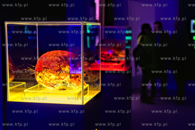 Wernisaż wystawy Jacka Kornackiego "Ślady i znaki...