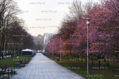 Gdynia. Skwer Kościuszki o poranku. Park Rady Europy....
