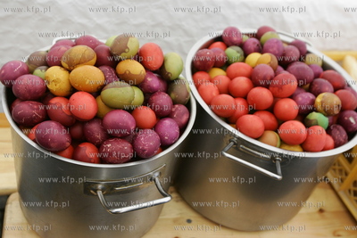 Gdansk, pod namiotem na Targu Weglowym. Jak co roku...