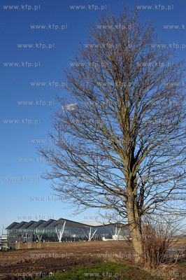 Pierwszy dzien funkcjonowania nowego terminalu T2 gdańskiego...