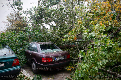 Gdansk. Wichura. Nz na powalone trzy drzewa na ulicy...