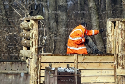 Gdansk. Odlownia dzikow w Parku Reagana.
27.02.2013
fot.Krzysztof...
