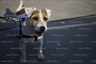 Gdansk. Letni spacer na falochron Zachodni w Nowym...