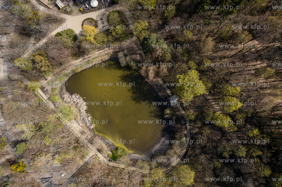 Staw Morskie Oko w Sopocie.
29.04.2022
fot. Krzysztof...