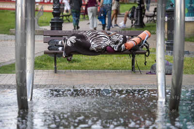Drzemka na ławce na skwerze Heweliusza w Gdańsku....
