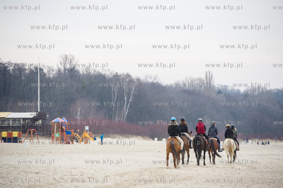 Sobotnia przejazdzka konna po plazy w Sopocie.
07.03.2015
fot....