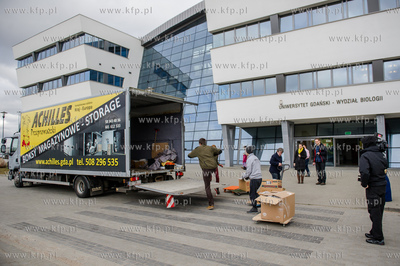 Gdansk. Uniwersytet Gdanski. Rozladunek szkieletu pletwala...