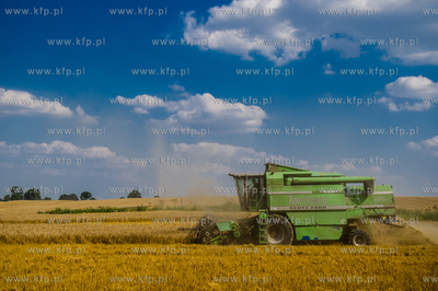 Powiat Koscierski. Kombajn podczas zniw. 
04.08.2015
fot....