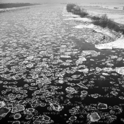 Kra na Wisle w okolicy Tczewa. 19.04.19764luty76_z.kosycarz_p35Fot....