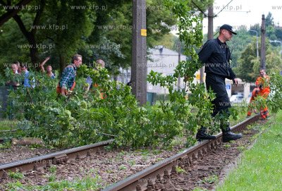 Gdansk. Uszkodzona przez drzewa trakcja tramwajowa...