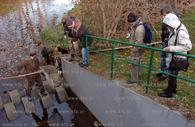 Smoldzino na przeplawce w elektrowni wodnej,  trwa...
