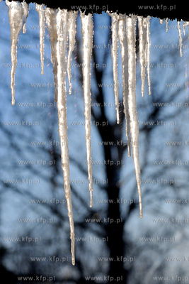 Centrum Edukacji Promocji Regionu w Szymbarku. Nz....