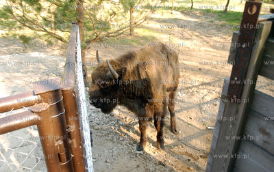 Slupsk  W Dolinie Charlotty pod Slupskiem powstaje...
