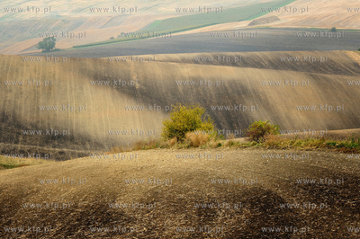 Morawy. Czechy. Okolice miejscowosci Kijev. Nz. pola...
