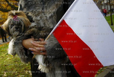 Gdansk. Dzien Niepodleglosci. Parada.
11.11.2008
fot....