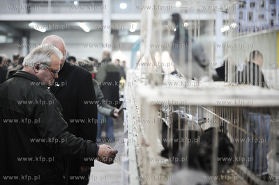 Gdansk. Miedzynarodowe Targi Gdanskie SA. 
6. Miedzynarodowe...