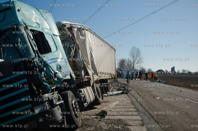 Bogatka. Smiertelny wypadek drogowy z udzialem samochodu...