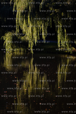 Gdansk. Sloneczne jesienne popoludnie w Parku Orunskim.
17.10.2012
fot....