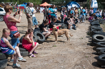 Gdynia Kolibki. Adventure Park. Festyn Edukacyjny pt....