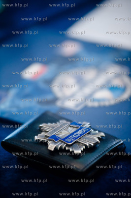 Gdansk. Hotel Scandic. Konferencja prasowa Iwony Wieczorek...