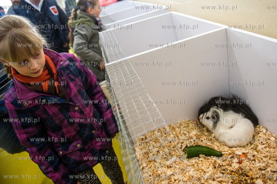 Zespol Szkol Rolniczych w Rusocinie. Wystawa Golebi...