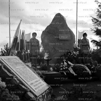 Odsłonięcie pomnika ku czci pilota balonowego Franciszka...