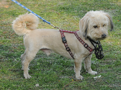 Skwer Arki Gdynia, obok Bulwaru Nadmorskiego odbyl...
